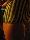 sheerio_049348.jpg